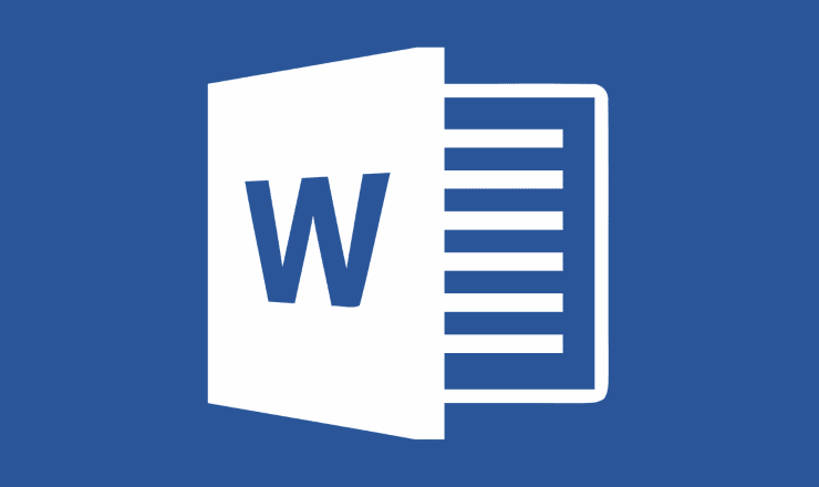 MICROSOFT WORD